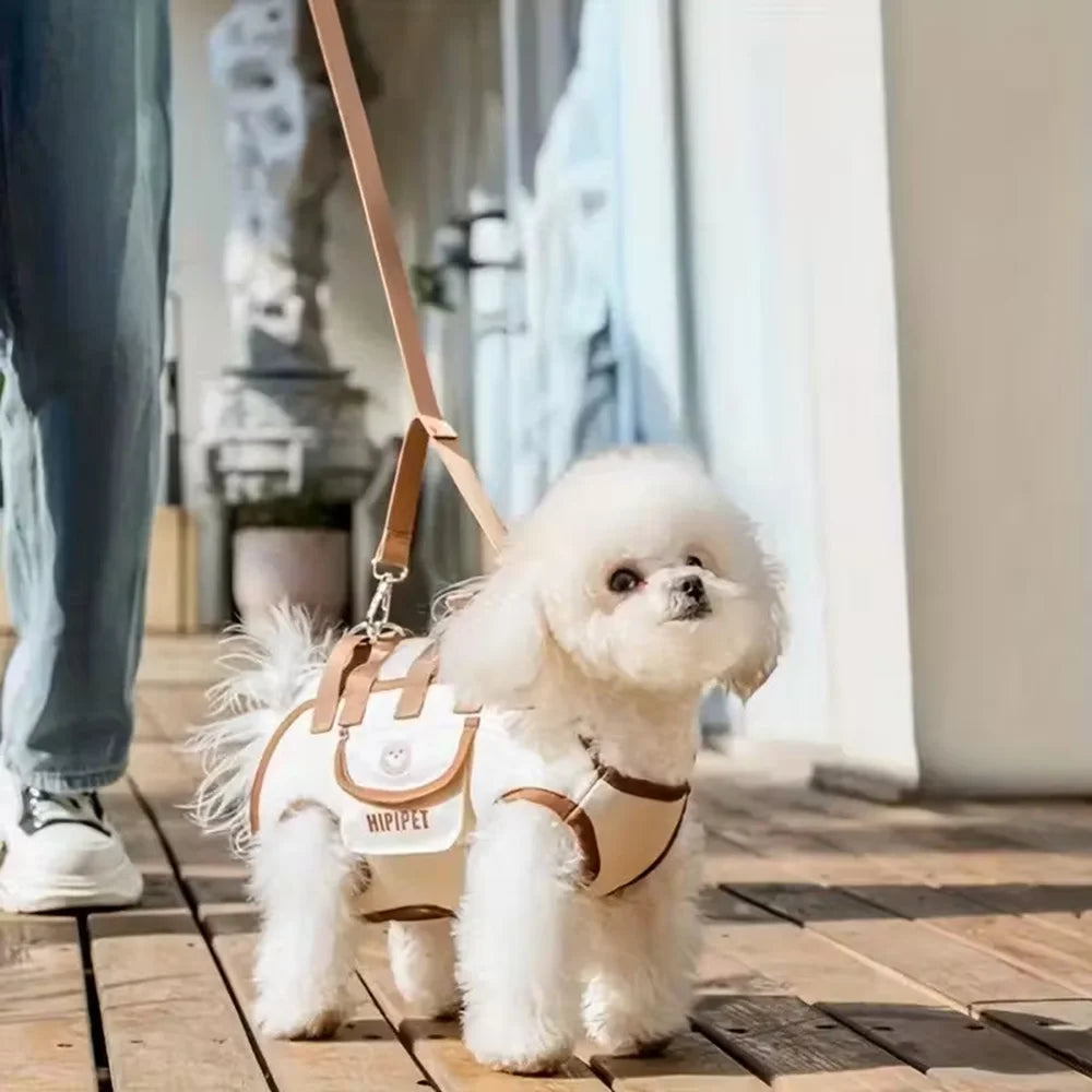 Dog Backpack Carrier - Transporte para animais